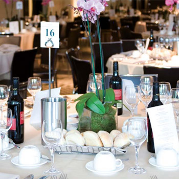 the dinner party download at stg the dinner party download at stg