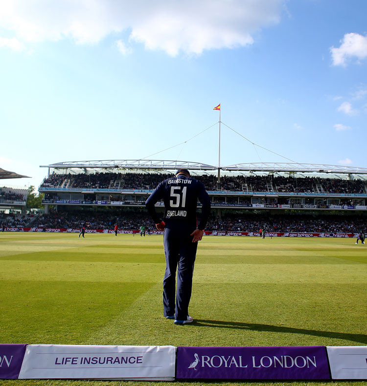 side screen in cricket